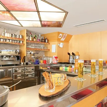 Alpenhof Hotel 3*